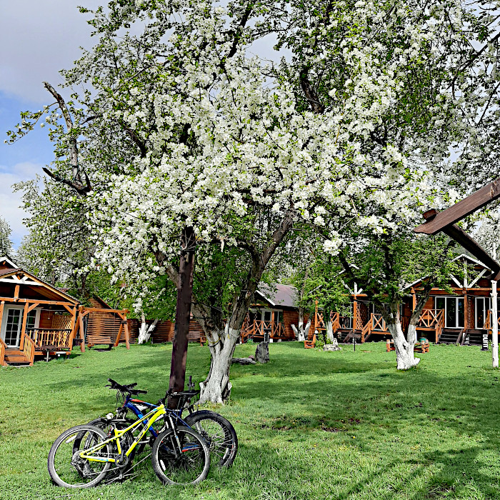 База отдыха "Грин Ранчо" Алтай Элекмонар