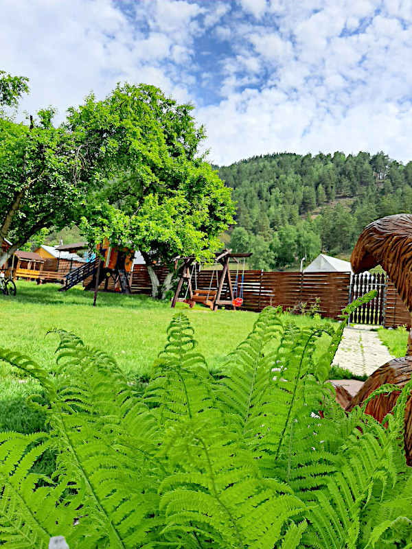 База отдыха "Грин Ранчо" Алтай Элекмонар