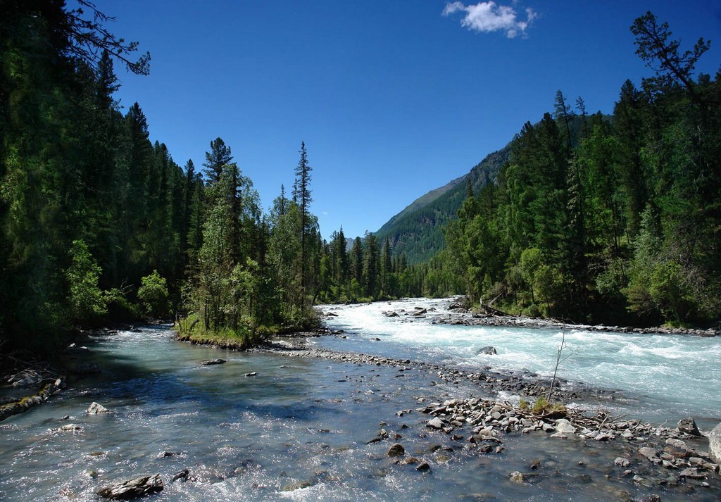 Река Кучерла