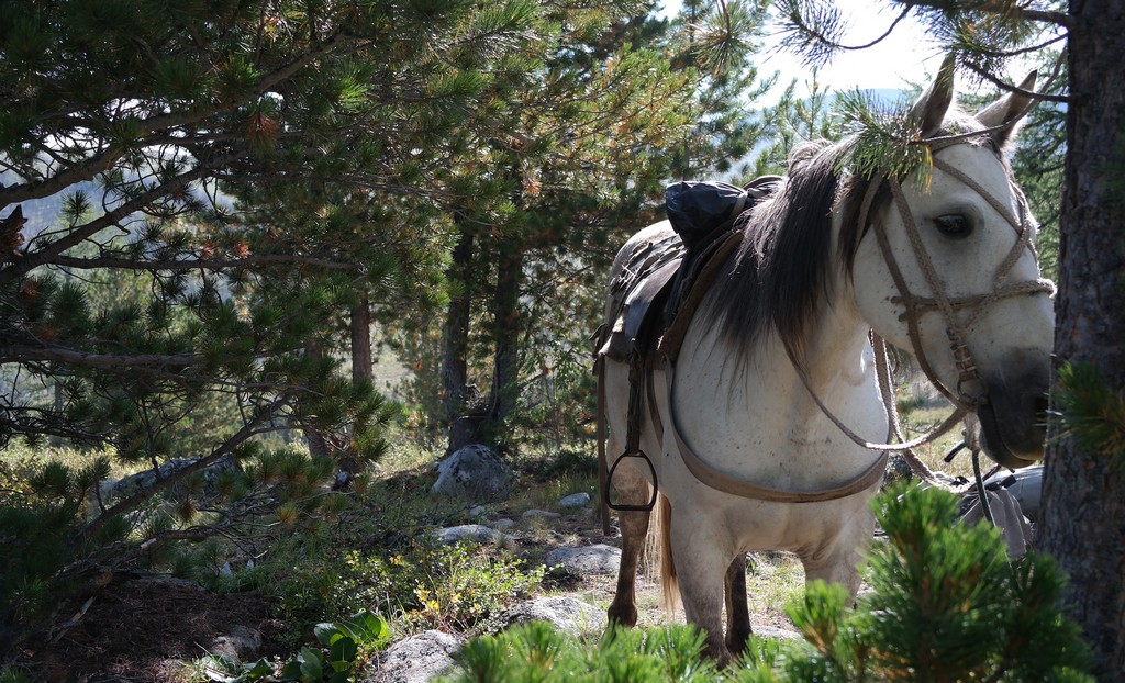 Отдых на стоянке