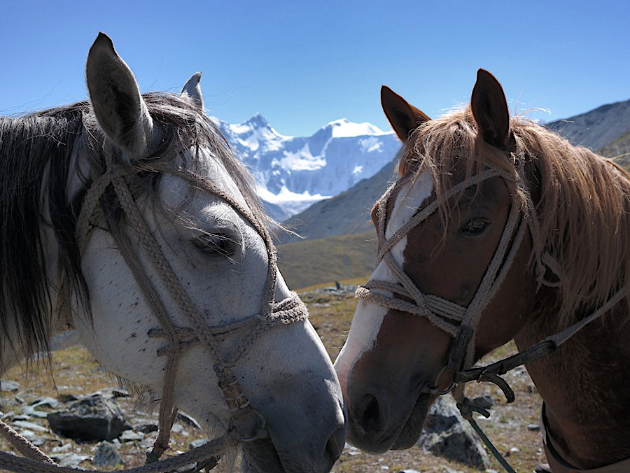 Гора Белуха с перевала Кату-Ярык