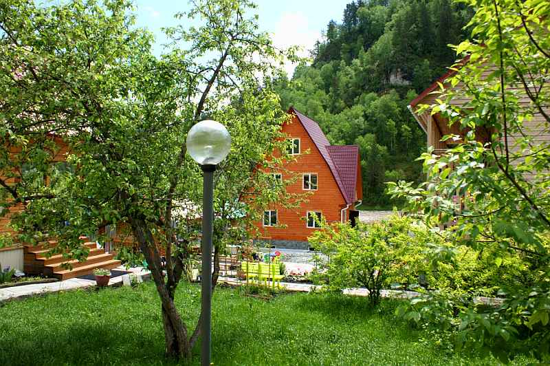 Зеленый двор