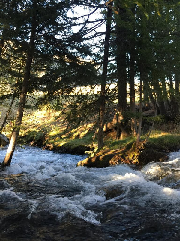 Курай отдых у реки