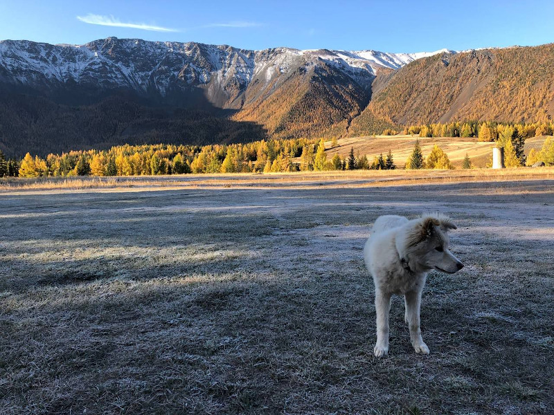 Территория базы отдыха