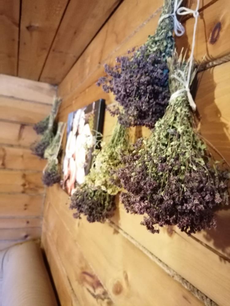 Баня на Алтае на турбазе "У Матюши"