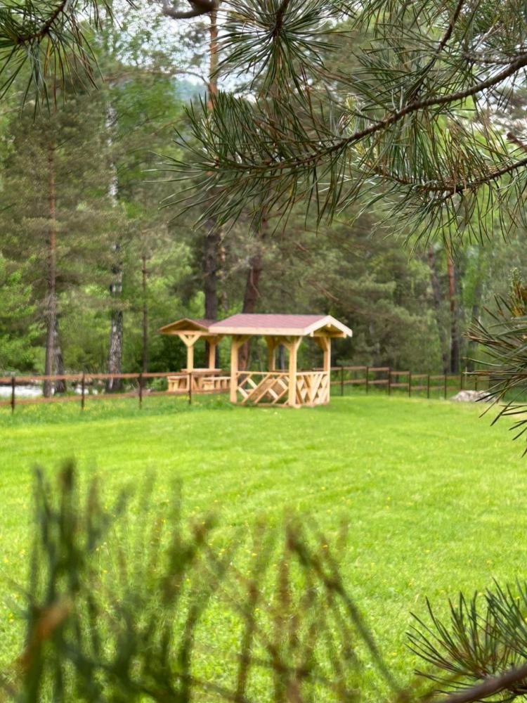 Отдых у реки на Алтае в Чемальском районе