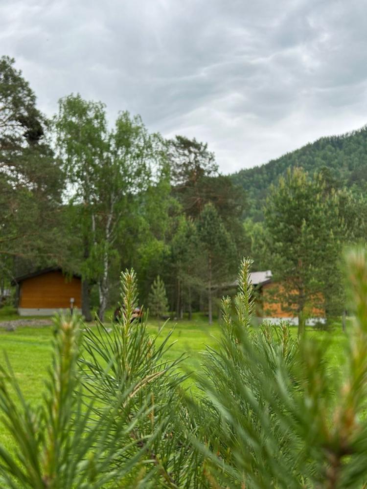 Отдых у реки на Алтае на турбазе "Алтай Релакс"