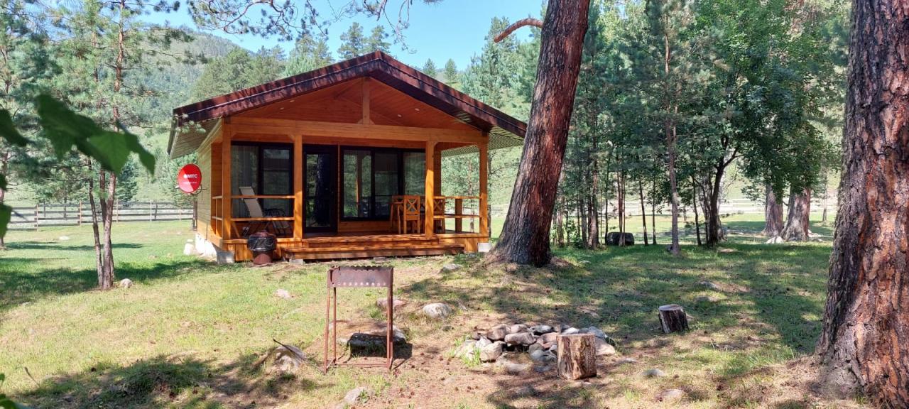 База отдыха "Алтай Релакс" Горный Алтай Элекмонар