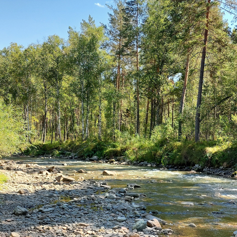 Речка Элекмонарка рядом с базой