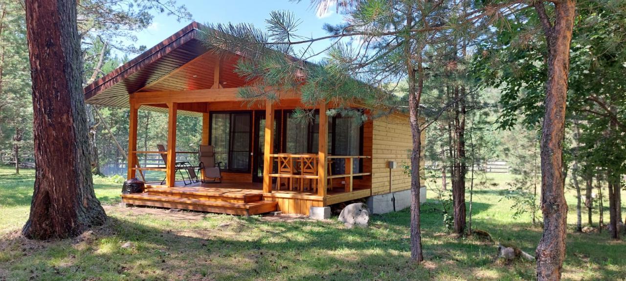 База отдыха "Алтай Релакс" Горный Алтай Элекмонар