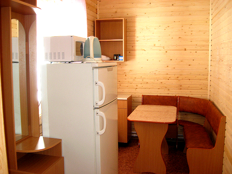 Кухня-прихожая в Коттедже