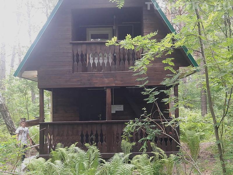 База отдыха "Сила Катуни" Алтай