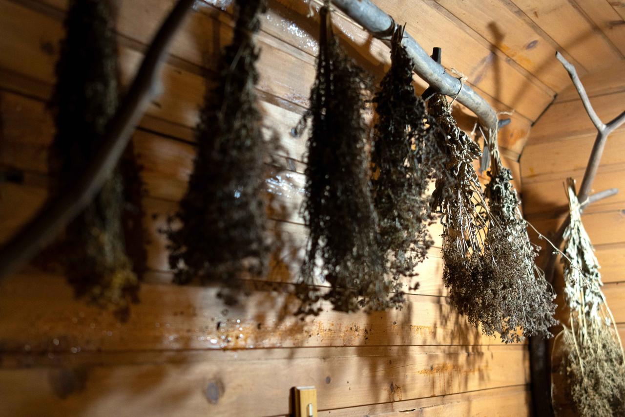 Баня на Алтае на усадьбе "Ёлки-палки"