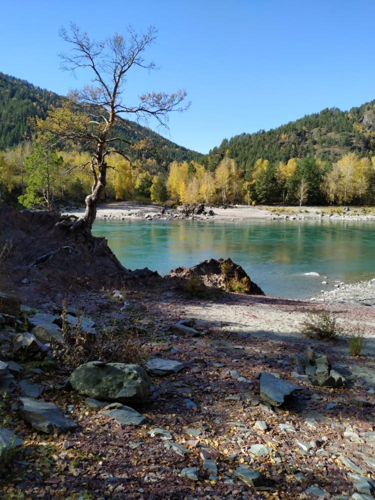 Берег осенью 