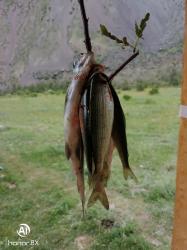 Рыбалка на турбазе