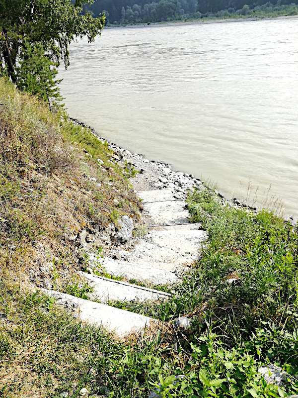 Река Катунь в 10 м от усадьбы