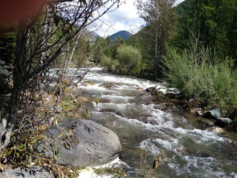 Горная речка на территории