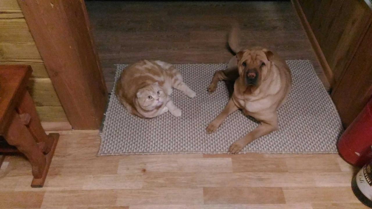 Кира и Перс