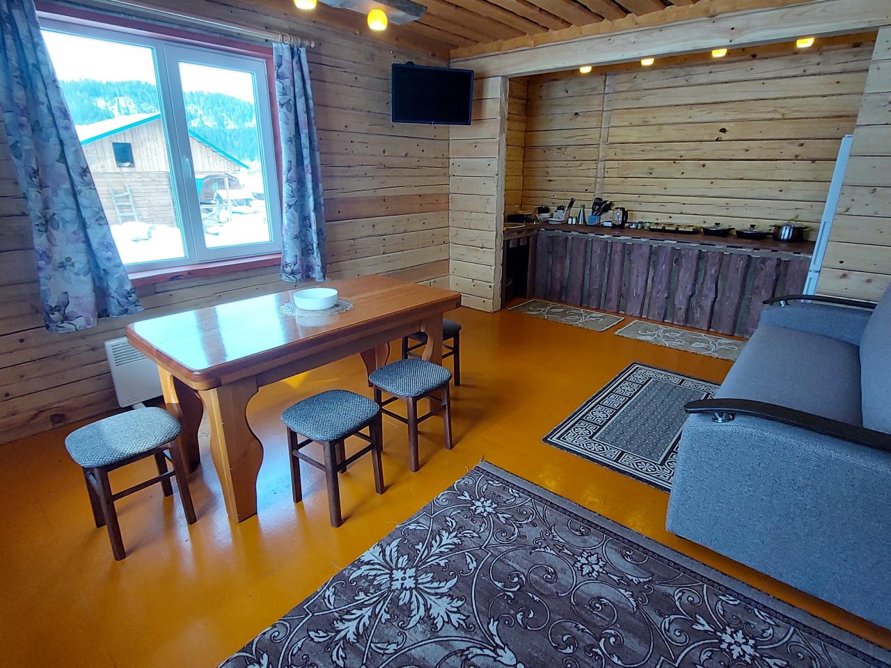 Гостиная и кухня