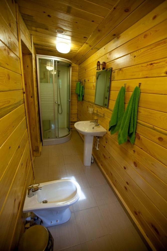 Царь-Терем двухкомнатный, санузел с душем