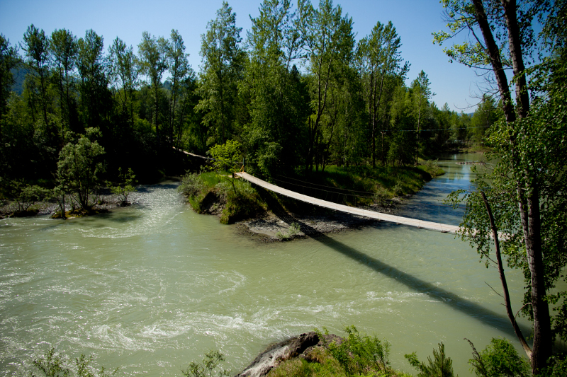 Зеленый остров на Алтае с подвесным мостом