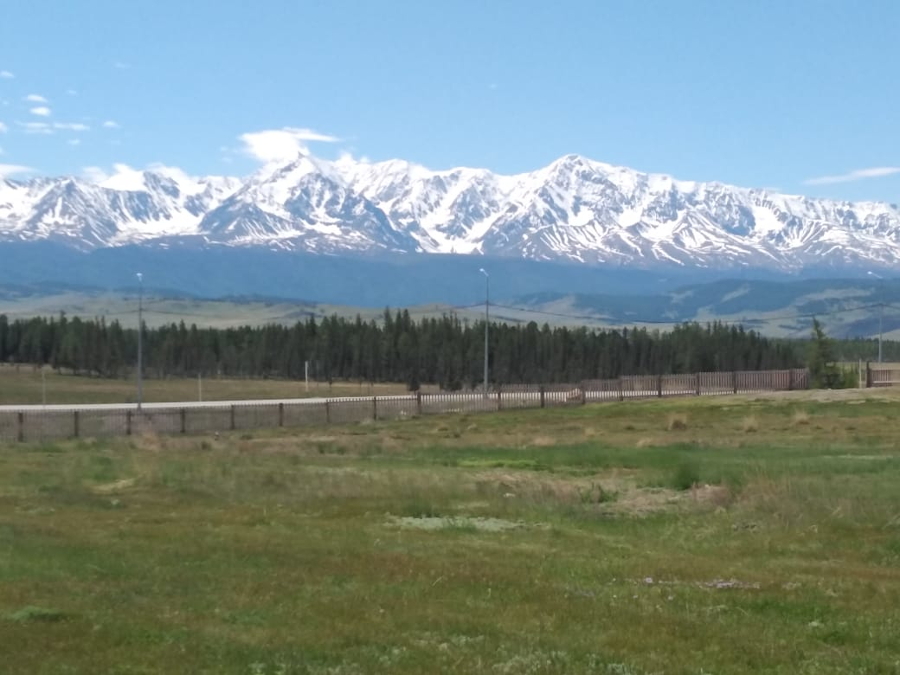 Виды вокруг