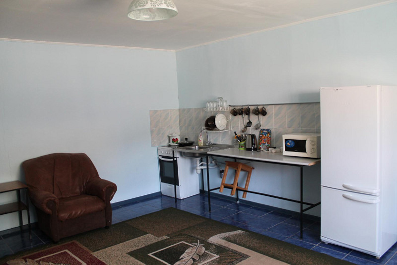 Каминный зал с кухней