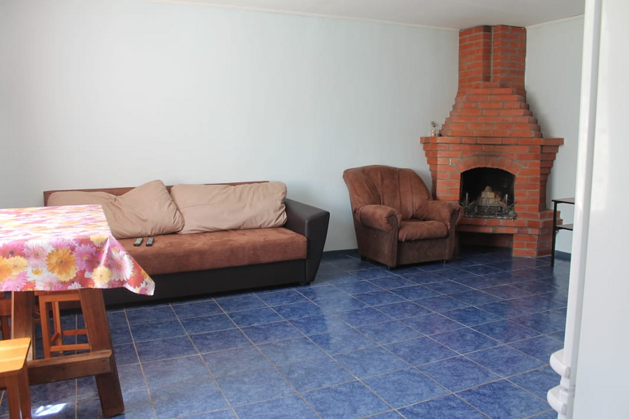 Каминный зал с кухней