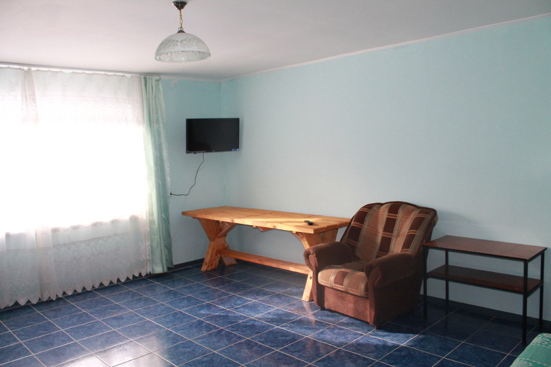 Каминный зал с кухней