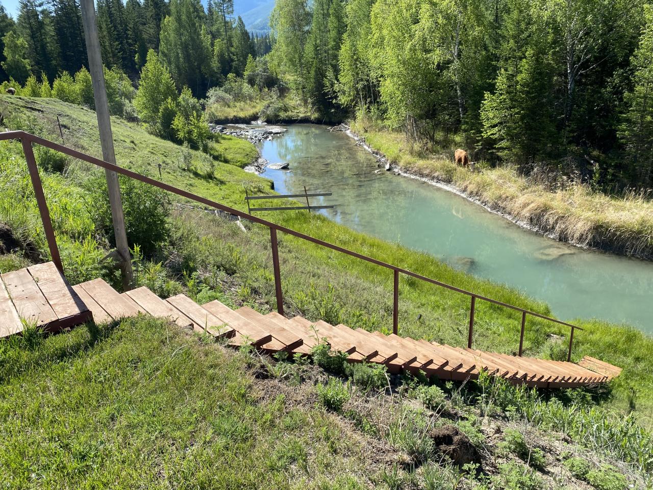 спуск к реке, можно окунуться