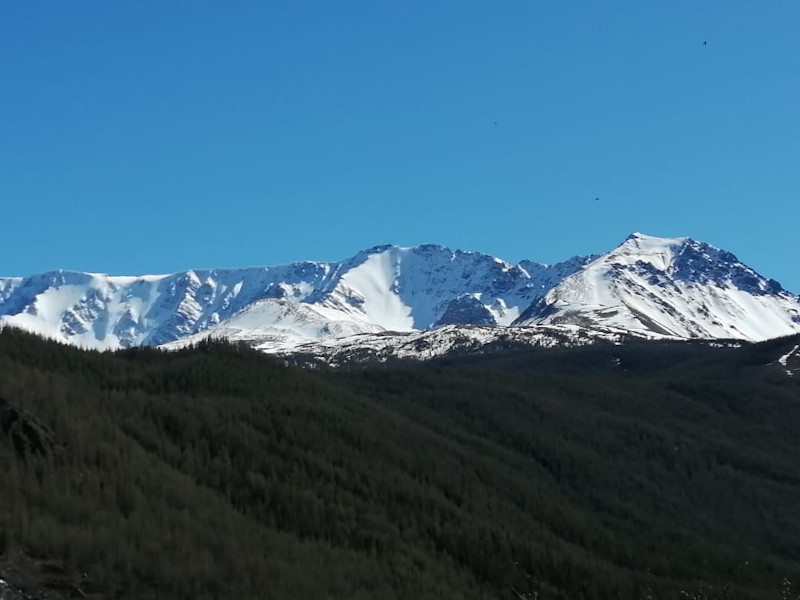 Тур Алтай Северо-Чуйские белки