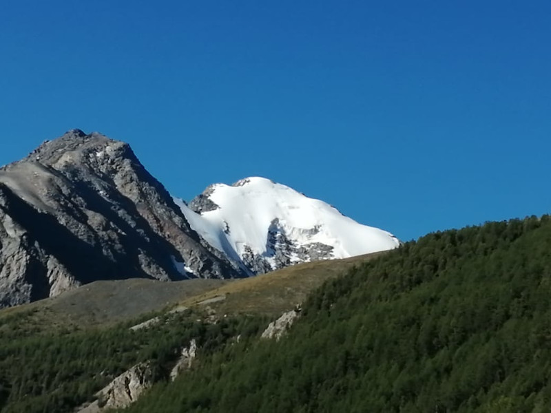 Тур Алтай Северо-Чуйские белки