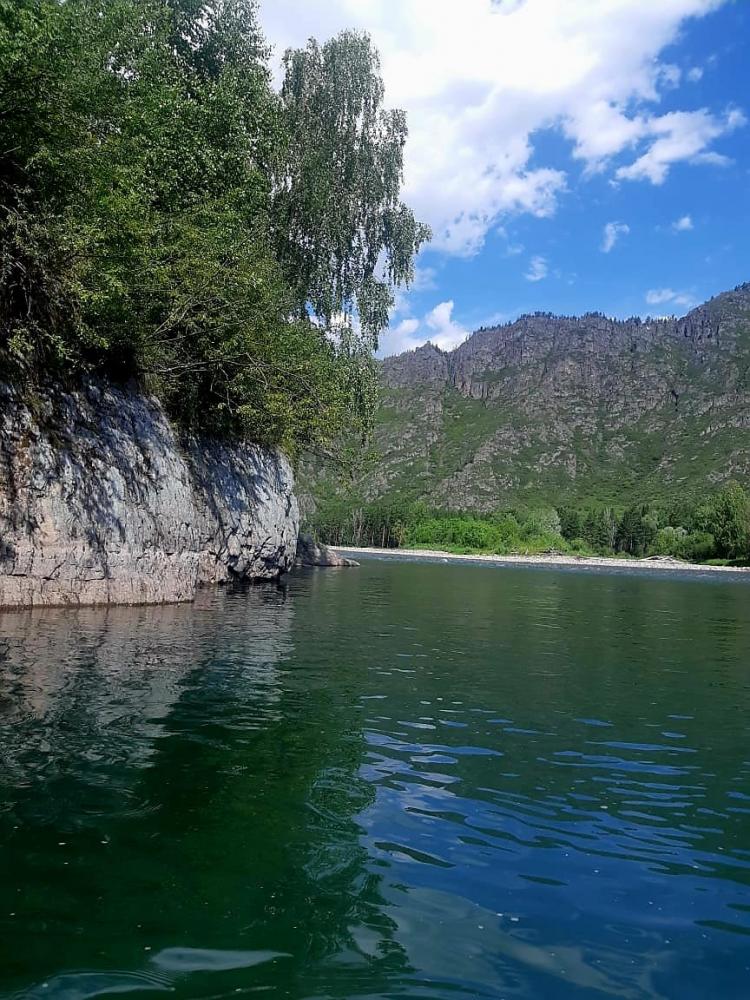 Река Чарыш организация сплавов от усадьбы "Лесная"