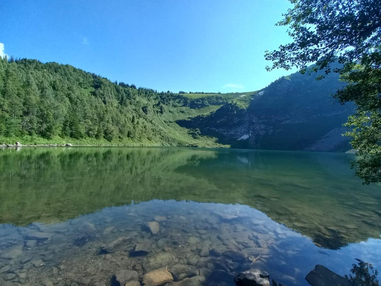 Река Чарыш сплавы от  усадьбы "Лесная"