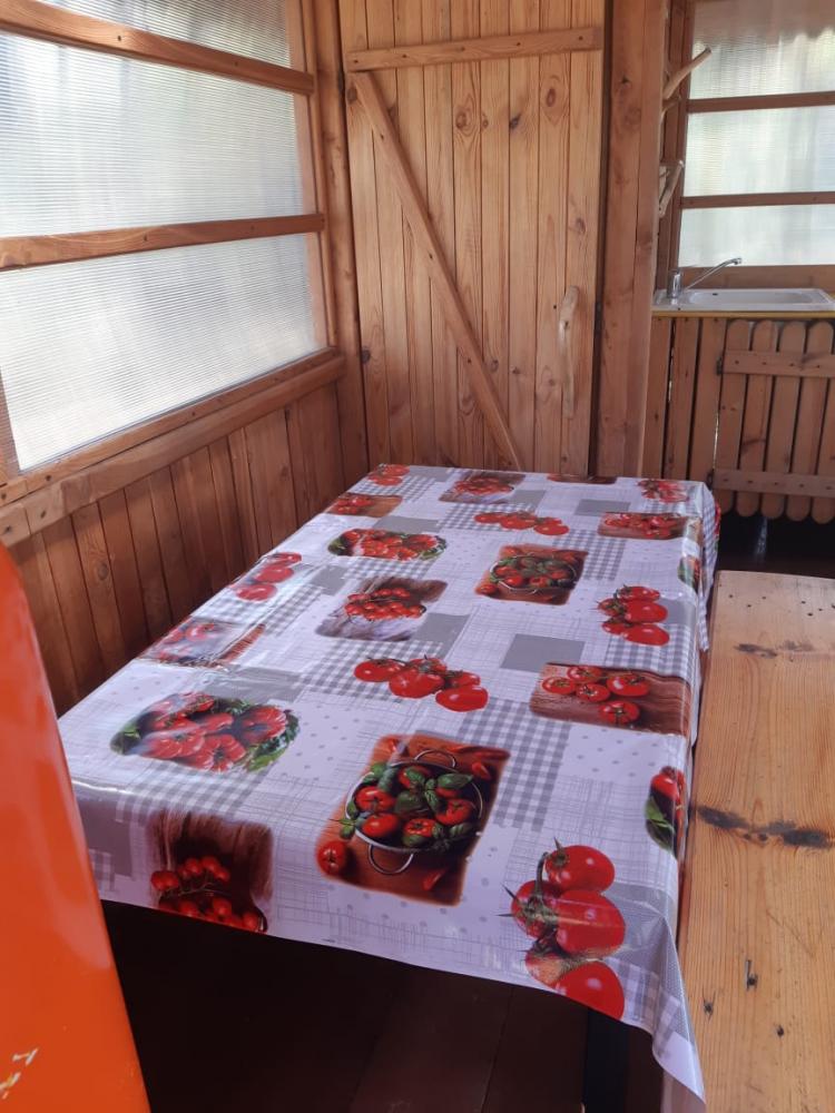 Дом №1 отдельностоящий 4-6 мест, кухня