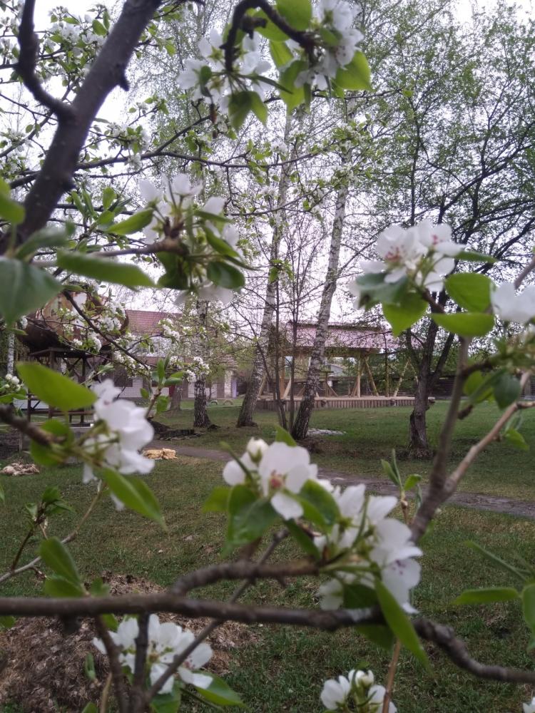 Турбаза "Лукоморье" майские праздники на озере Ая