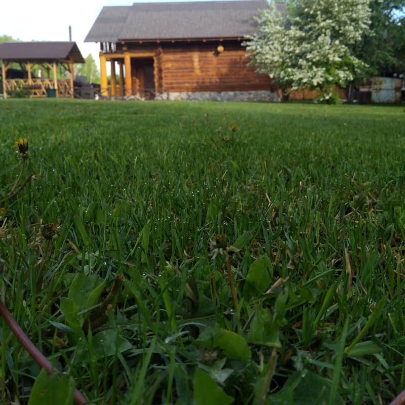 Кедровый коттедж озеро Ая