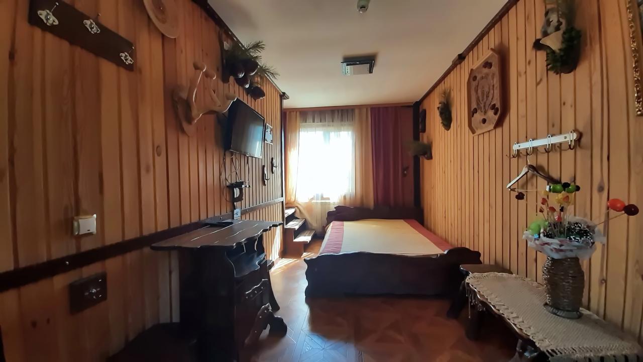 усадьба Лебедь коттедж Замок