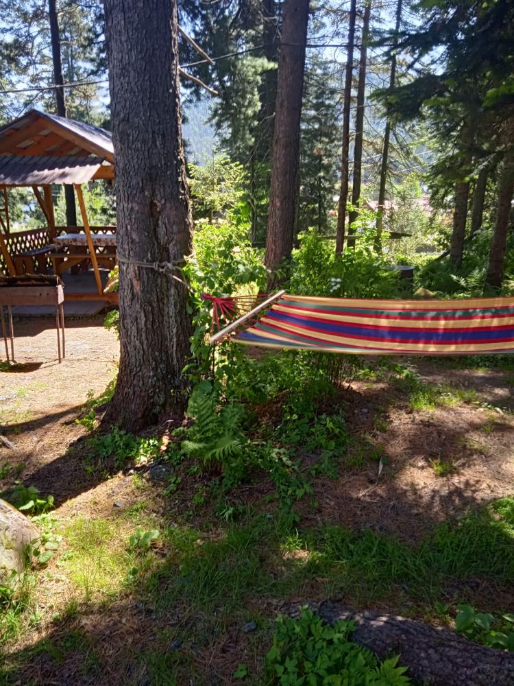 Гамак и беседка