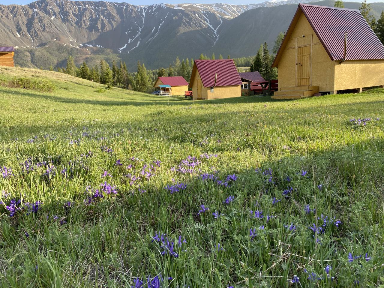 лето в горах