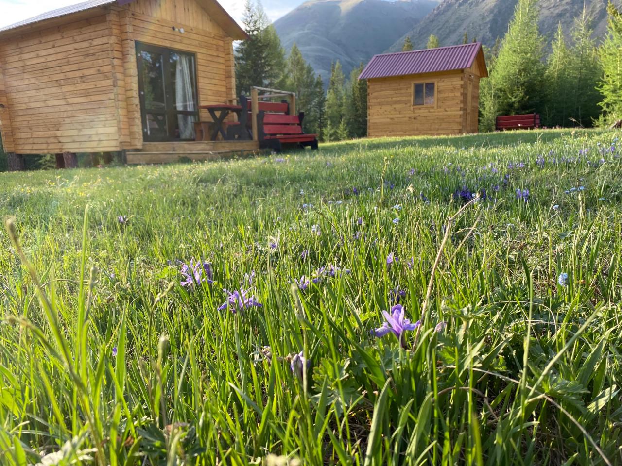 Цветущая база "ТурЛу" Алтай