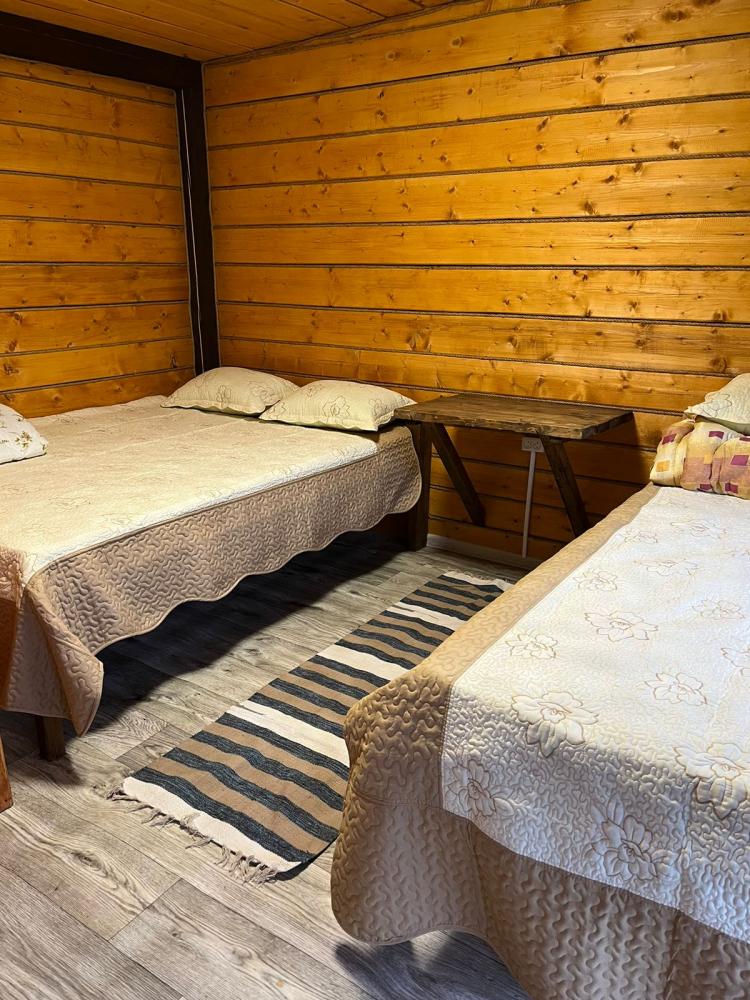 3-хместный домик с панорамным окном и удобствами