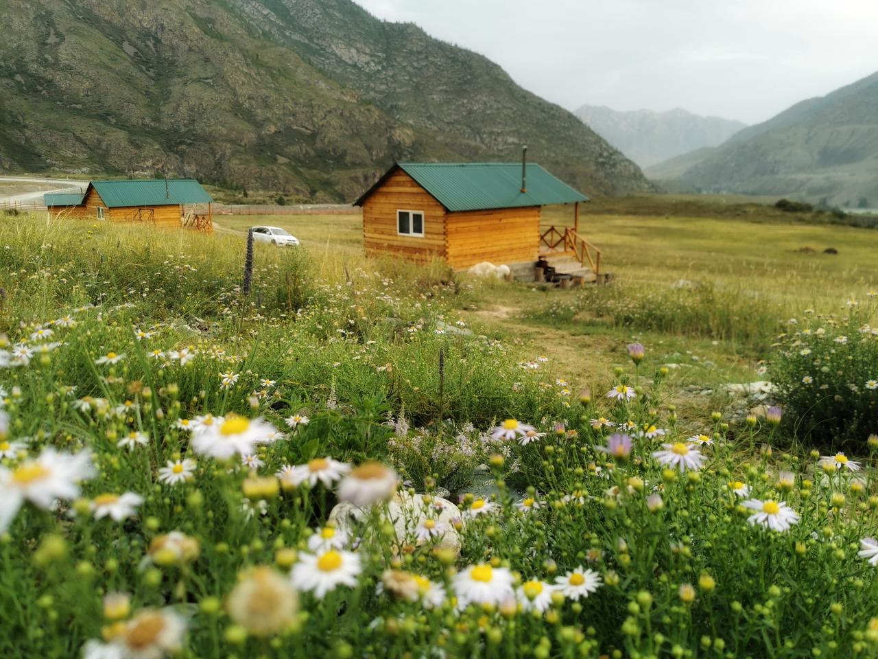 Домики_июль_2022