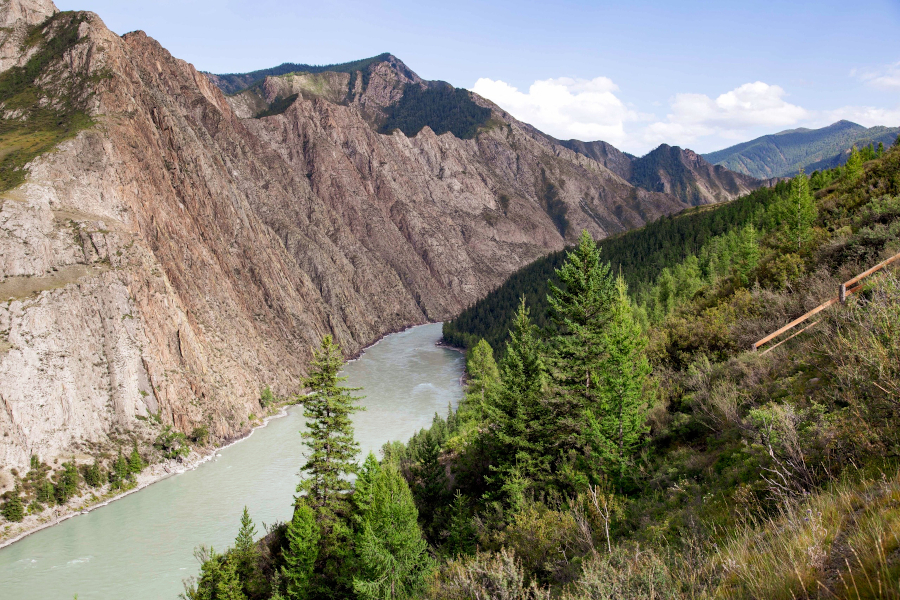 Смотровая площадка на Катунь 