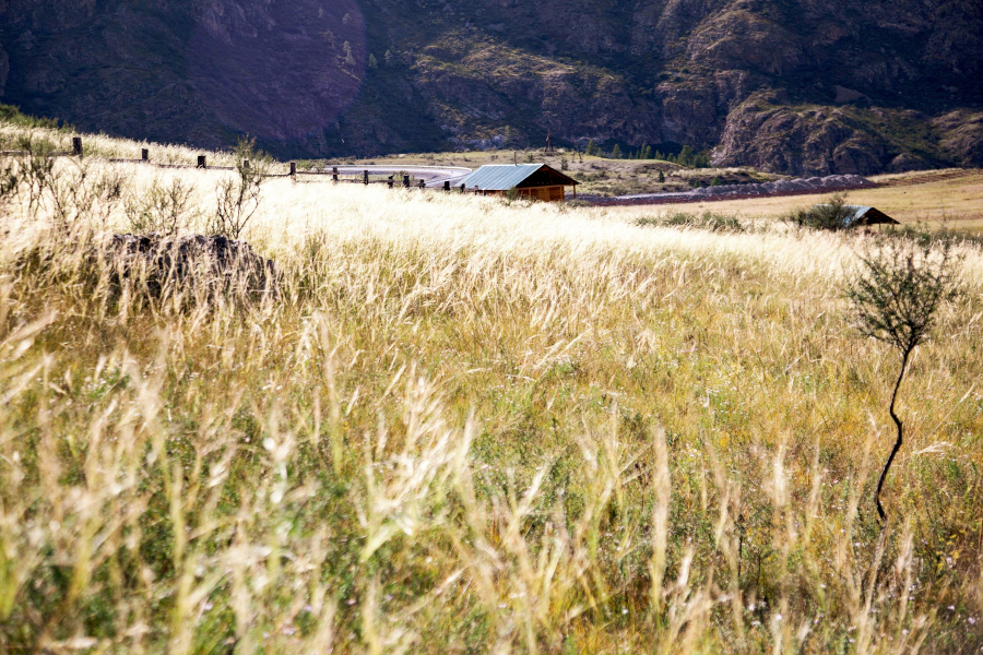 Турбаза Ак Марал