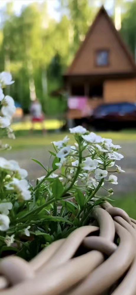 УСАДЬБА СИБИРСКАЯ