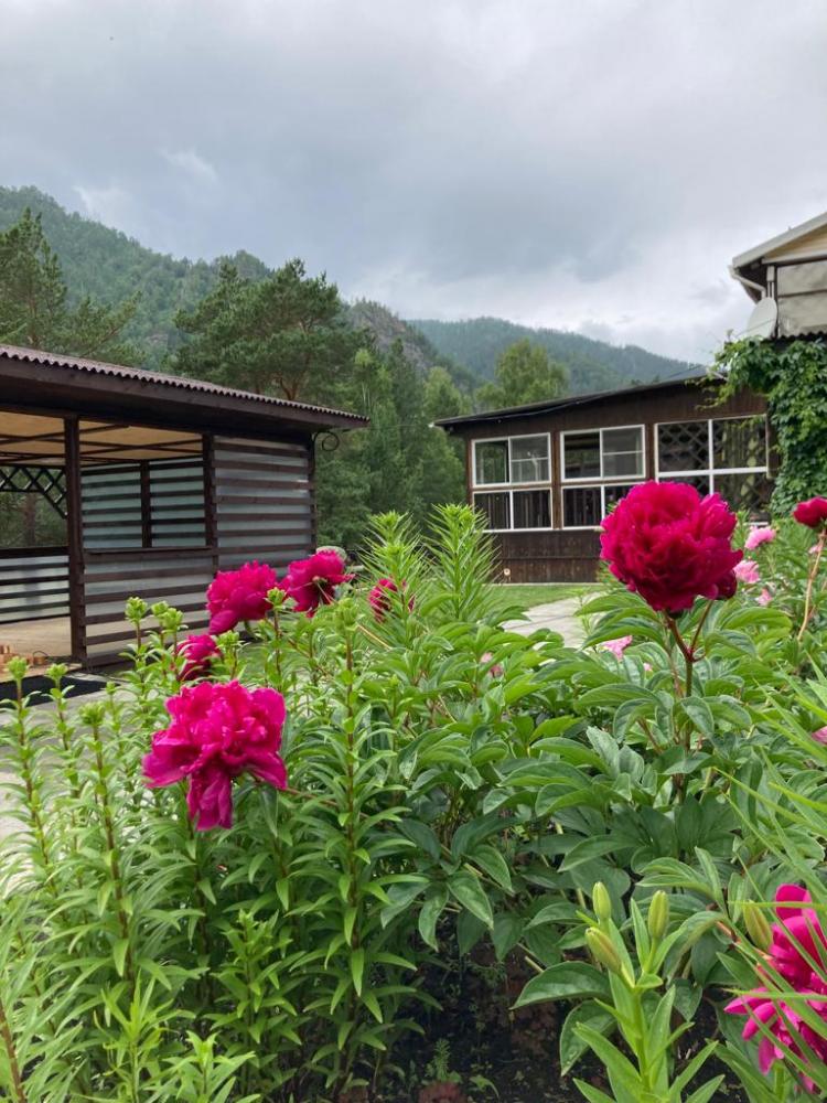 Наша территория