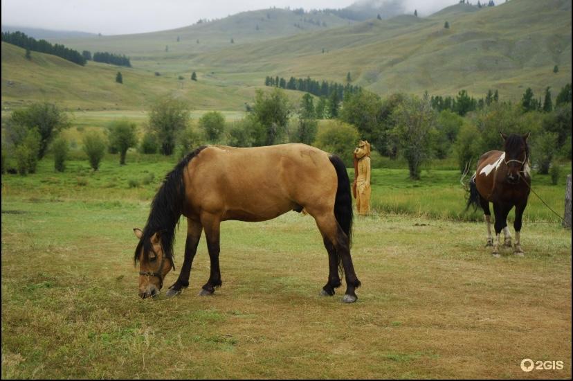 Спирит и Ала-ат 