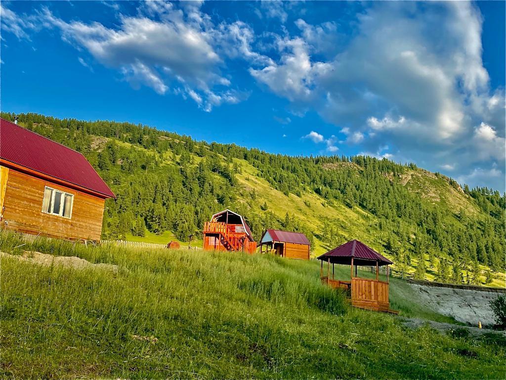 База отдыха "Улаган - Ичи" у озера в Горном Алтае