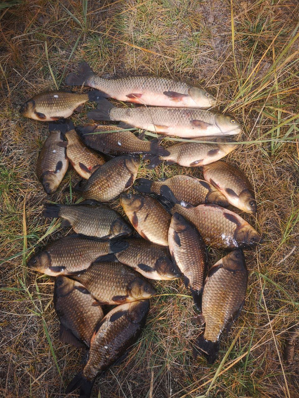 Рыбалка на Улаганских озерах